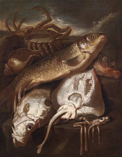 Natura morta di pesci da Giacomo Francesco Cipper